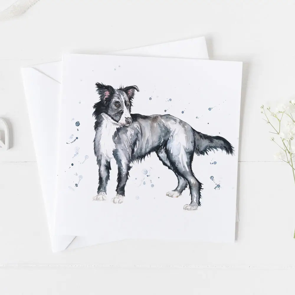 Border Collie Greeting Card