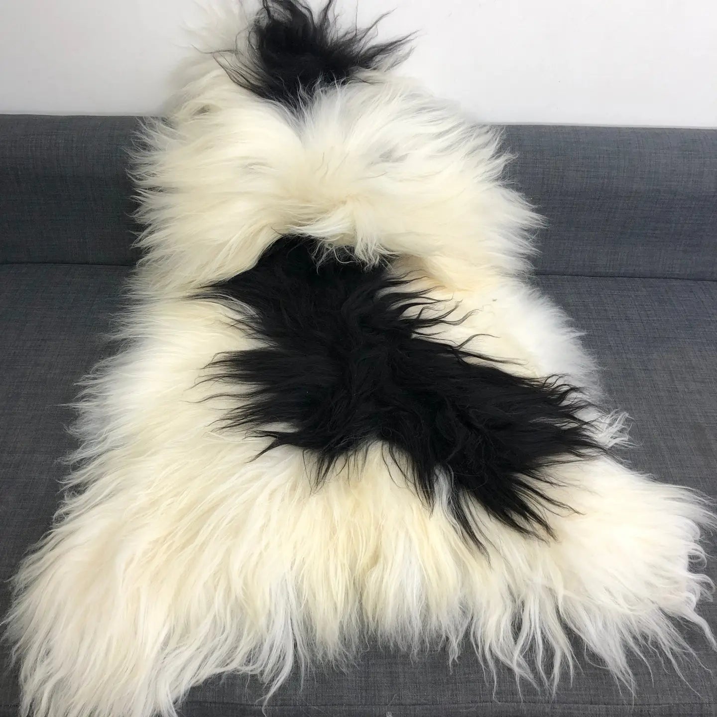 Icelandic Rare Breed Natural Undyed Black and White Sheepskin Rug 2 With Spots