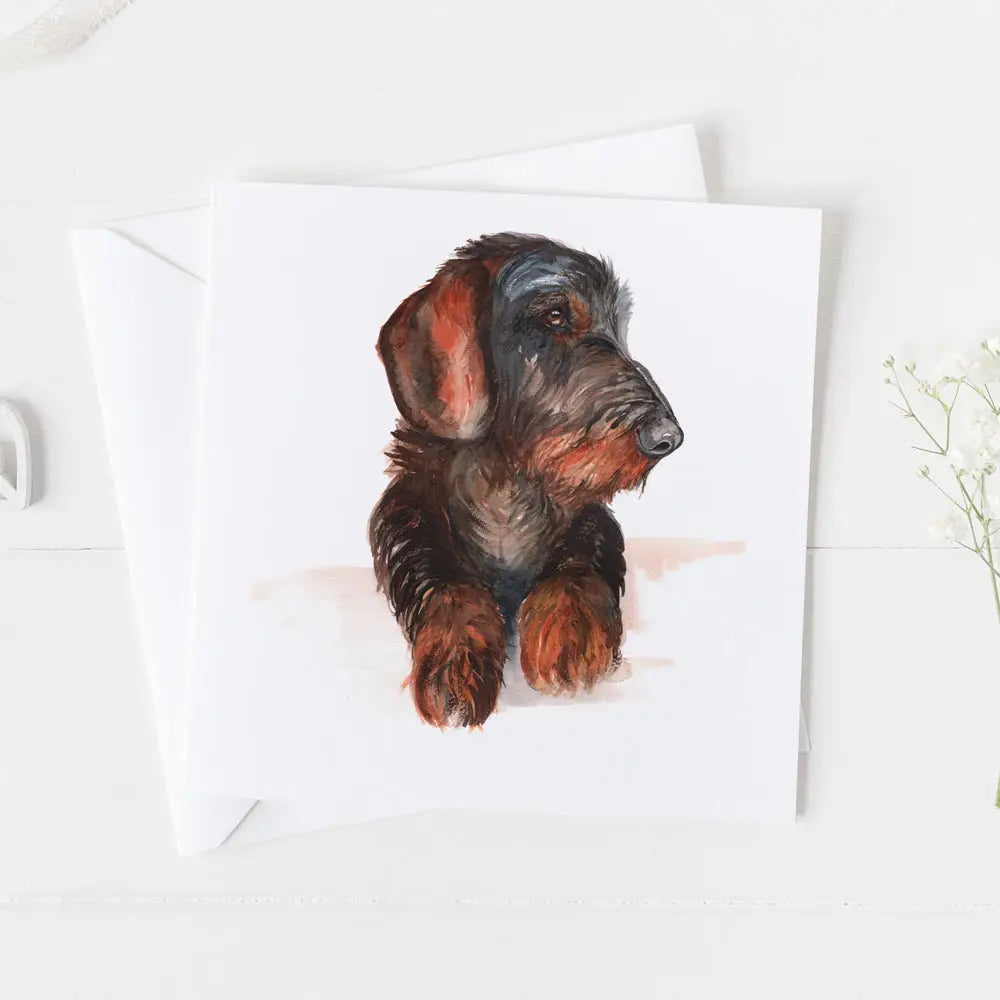 Wired Haired Dachshund Greeting Card