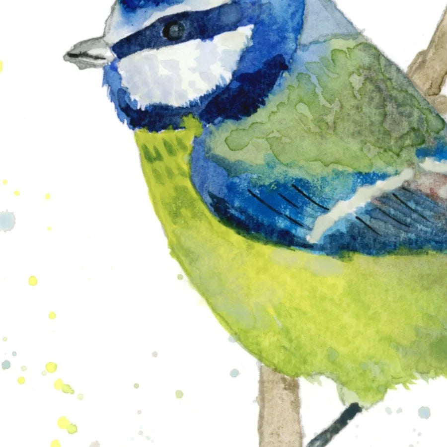 Bluetit 8" x 6" print in frame.