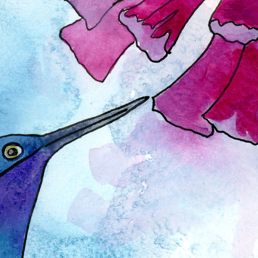 Hummingbird A4 print (297 x 210 mm) with white mount.