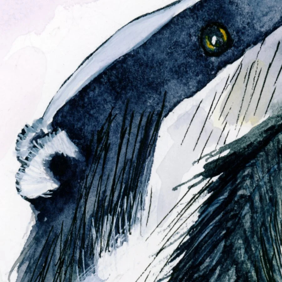 Gazing Badger 8" x 6" print with frame.