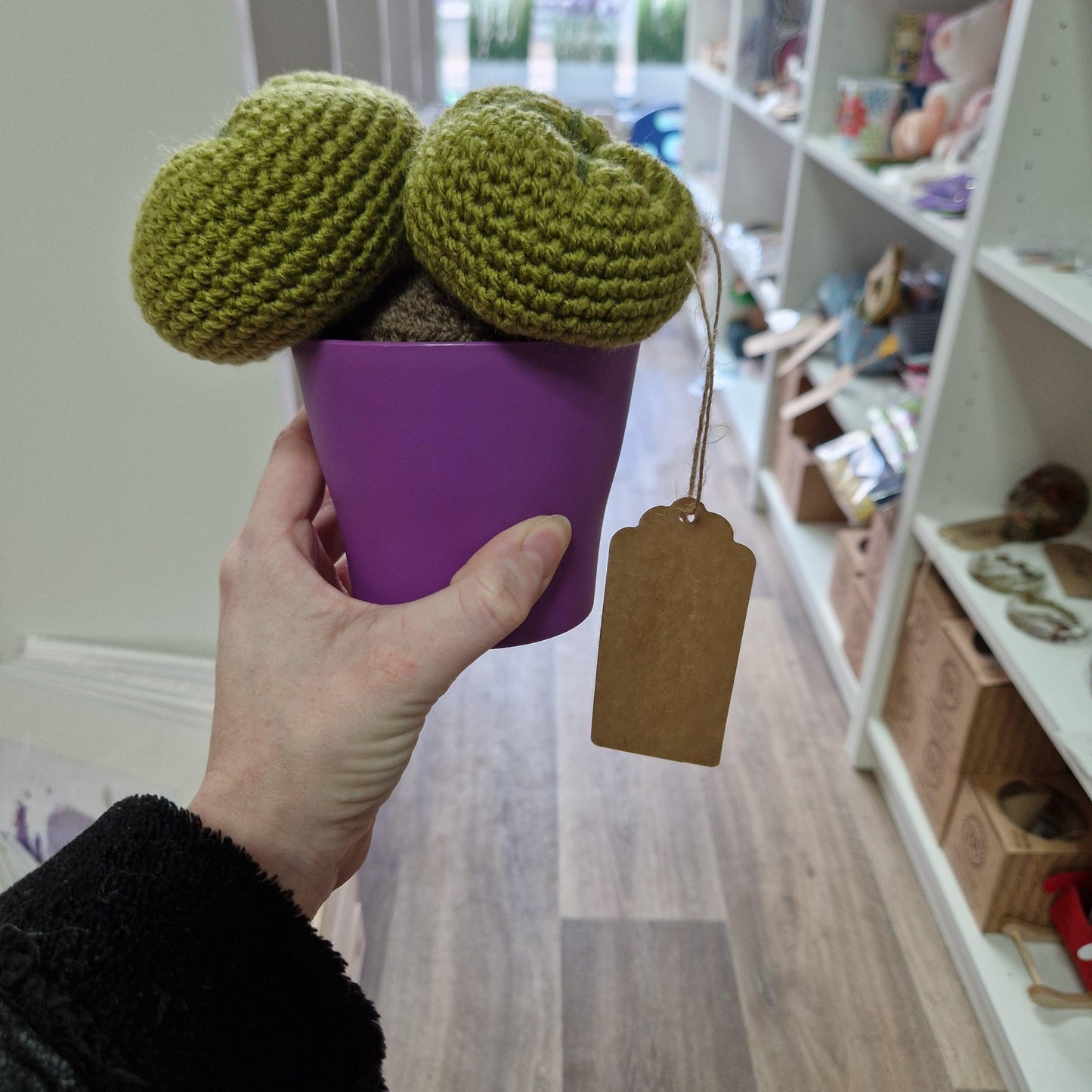 Crochet cactus HA09