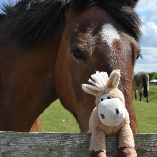 Pony Soft Toy