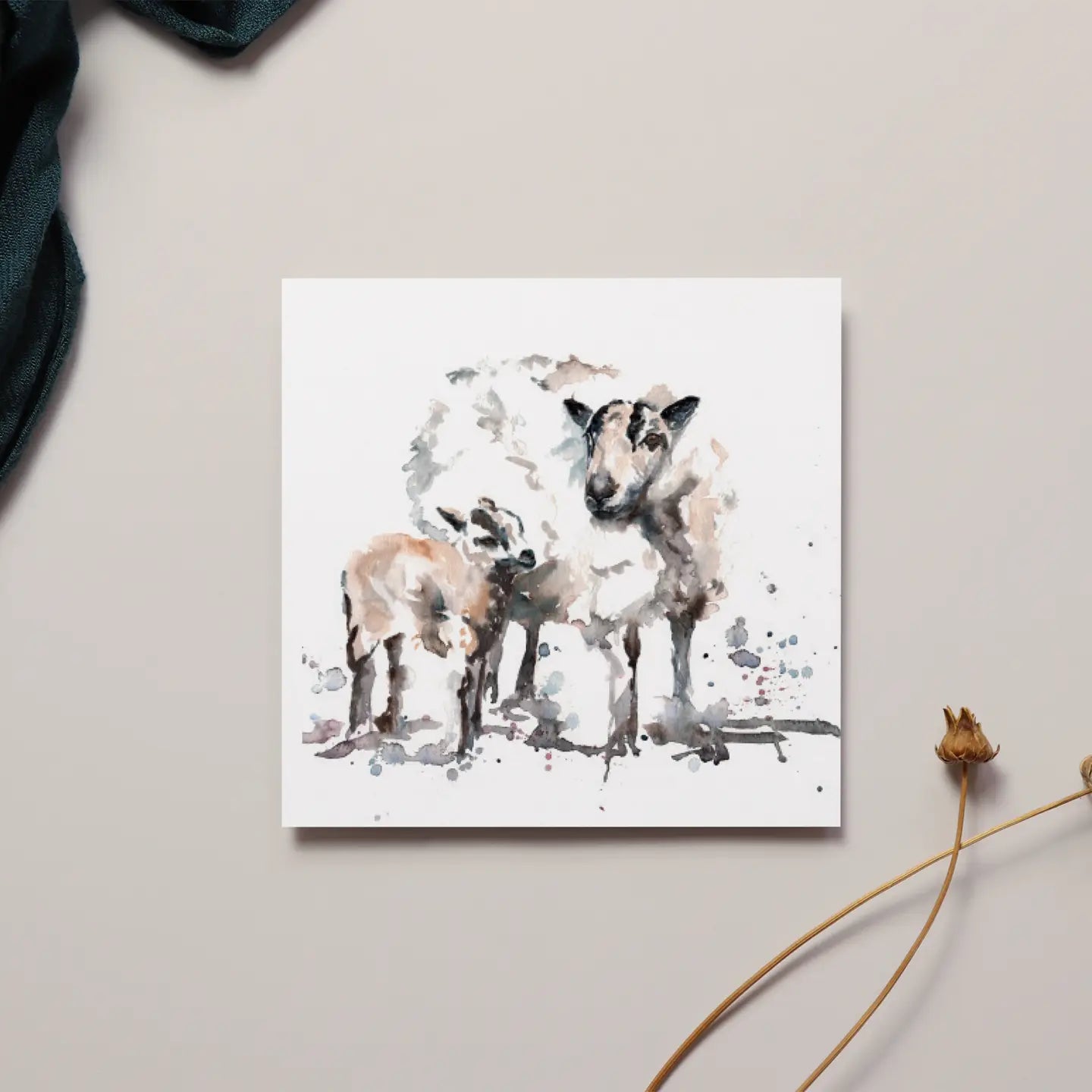 Badger Sheep Greeting Card
