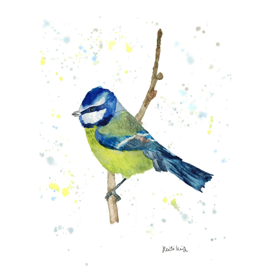 Bluetit 8" x 6" print in frame.