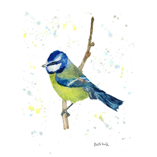 Bluetit 8" x 6" print in frame.