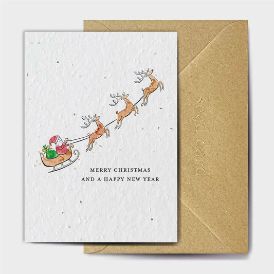 Sleigh And Reindeer Seeded card