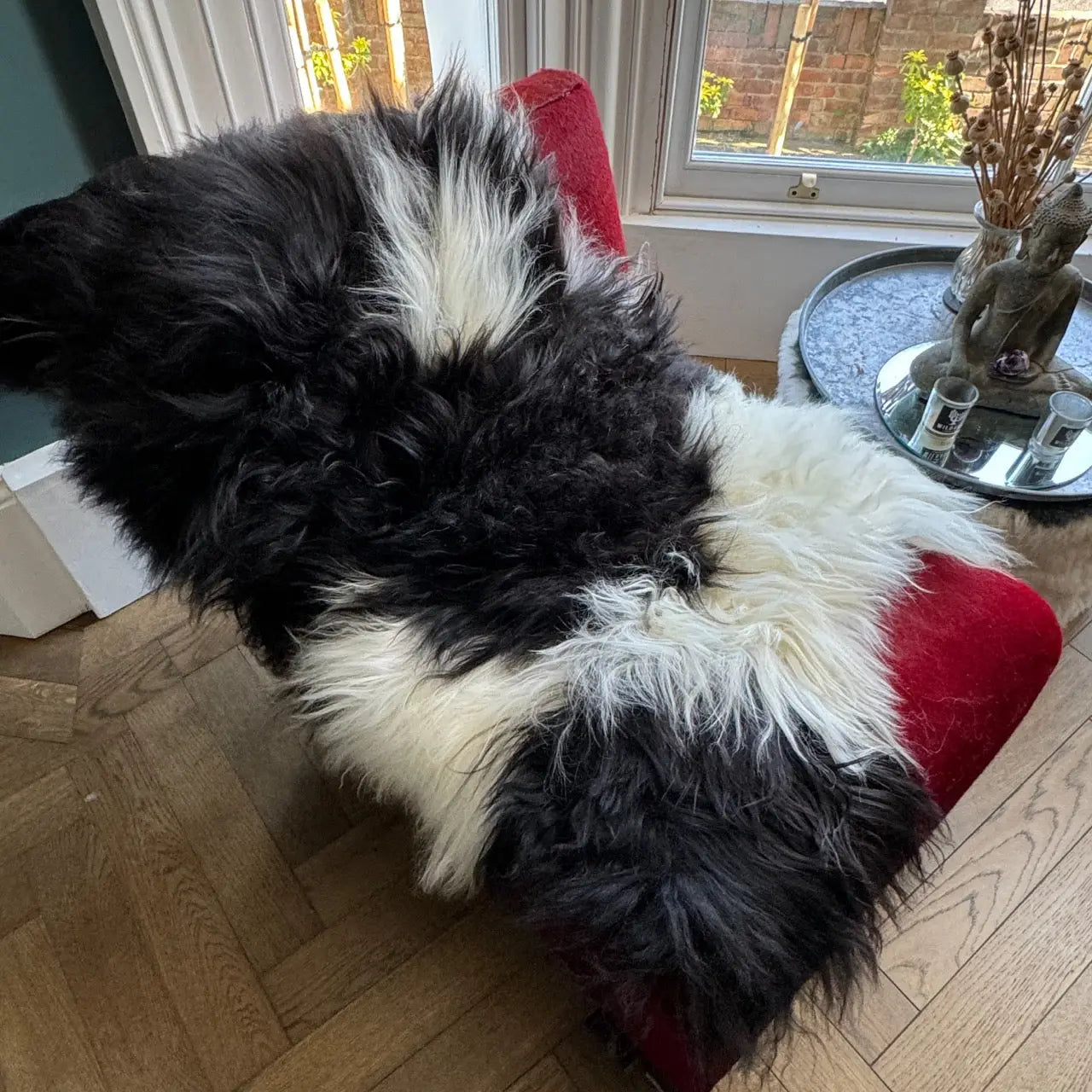 Icelandic Rare Breed Natural Undyed Black and White Sheepskin Rug 3 240516IL06