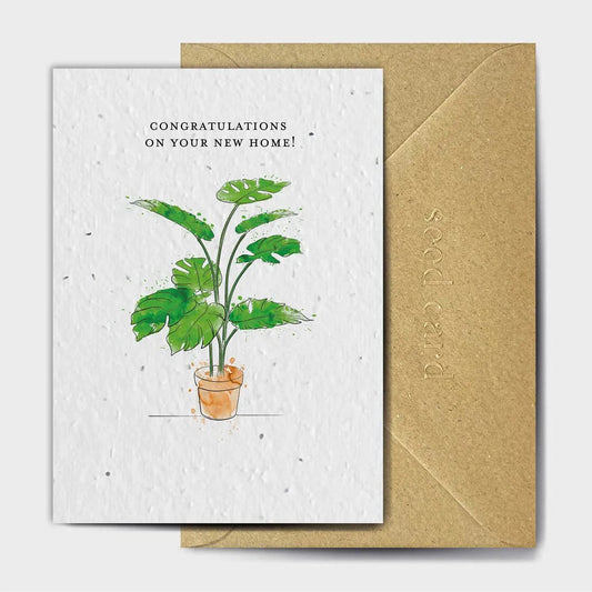 Cheese Plant New Home Seeded card