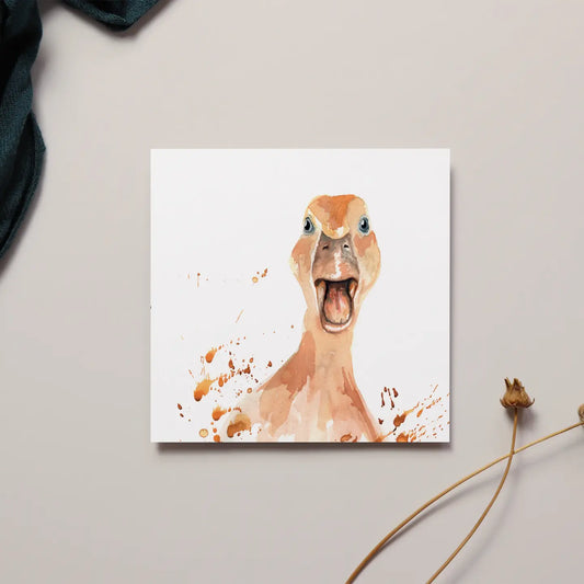 Duck Greeting Card