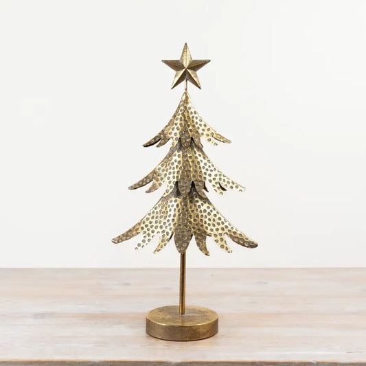 Gold Iron Tree, 53cm