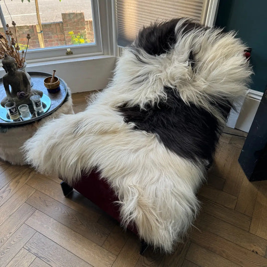 Icelandic Rare Breed Natural Undyed Black and White Sheepskin Rug 5 24051601IL