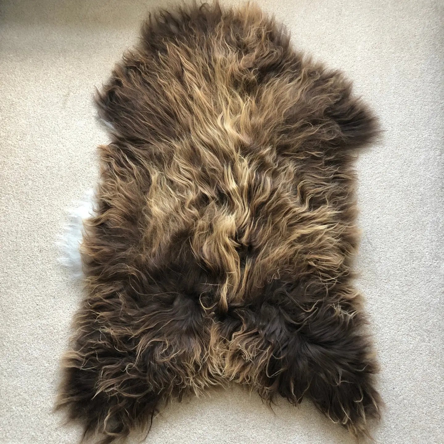 Icelandic Bronze Russet Brown Undyed Sheepskin Rug