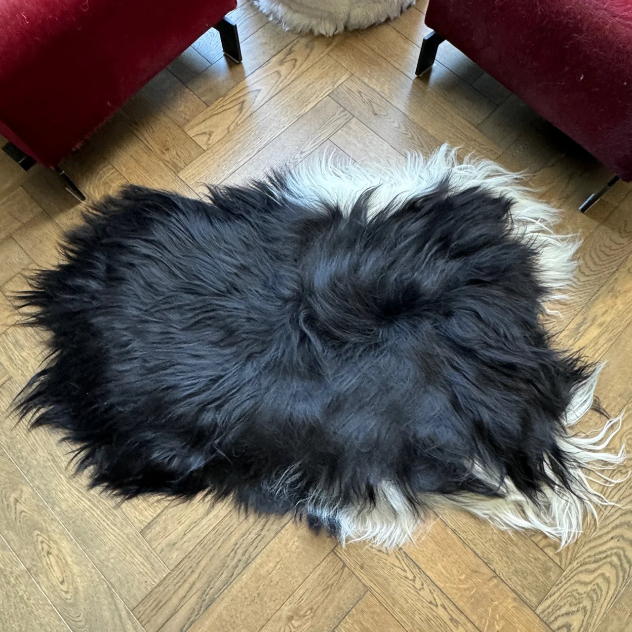 Icelandic Rare Breed Natural Undyed Black and White Sheepskin Rug 1