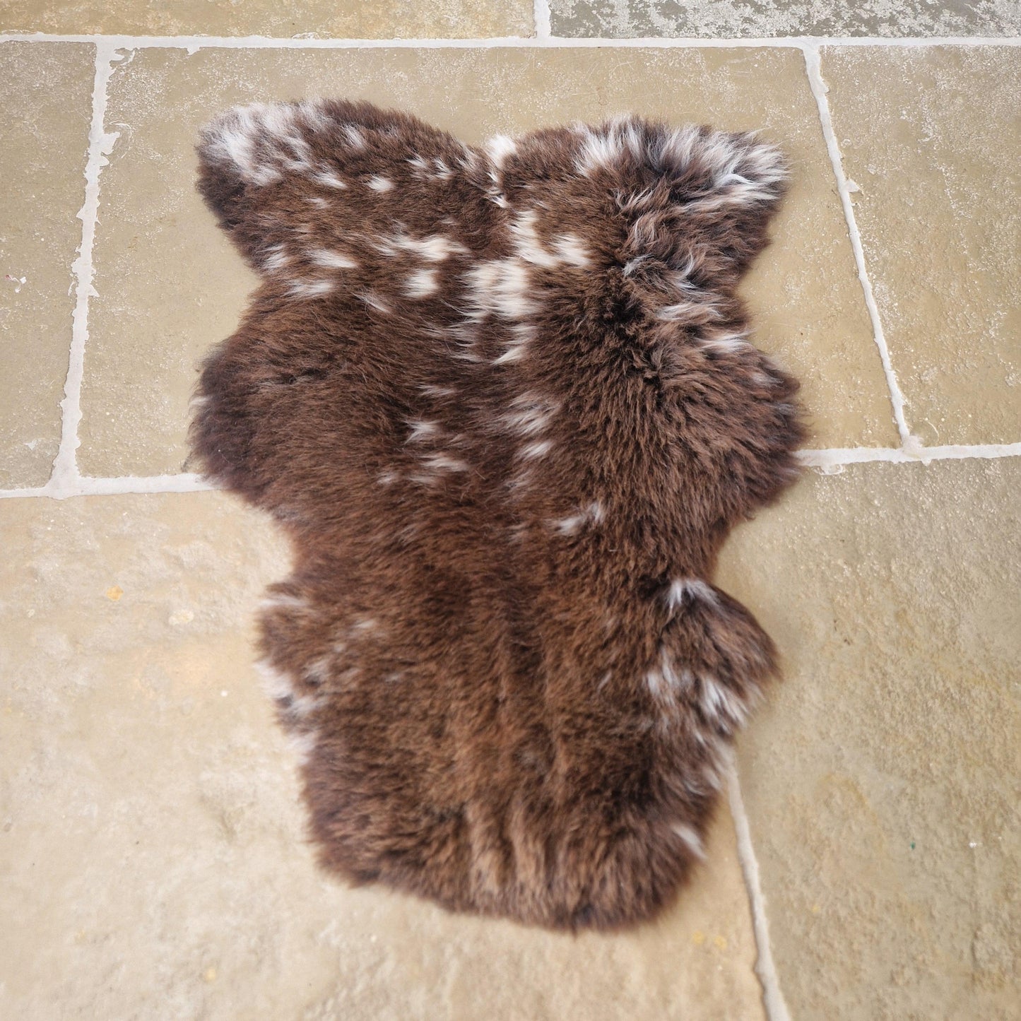 Medium Spotted Dutch Sheepskin Rug Number 51