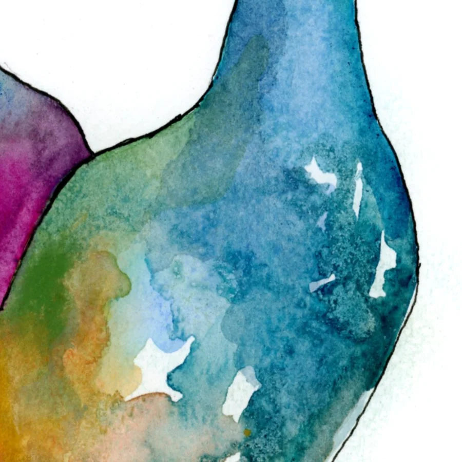 Colourful Ducks 8" x 6" print with white mount.