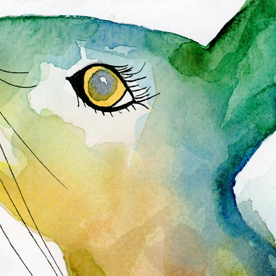 Gazing hare 8" x 6" print with white mount.