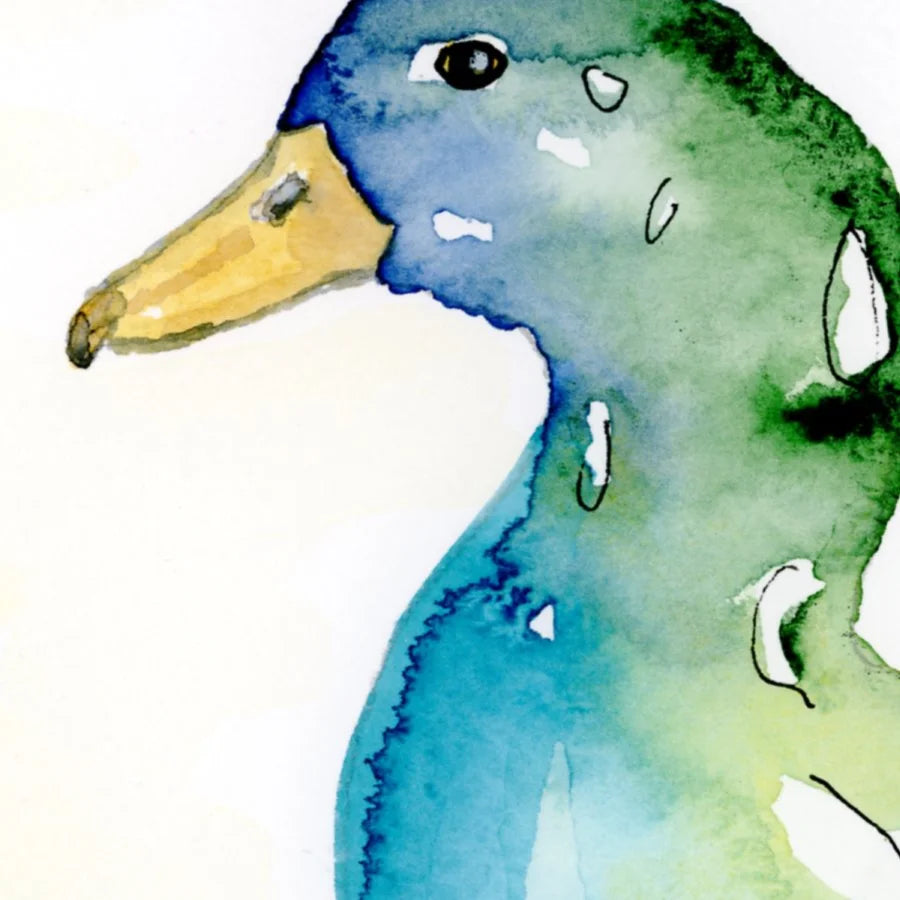 Waddles 8" x 6" print with white mount.