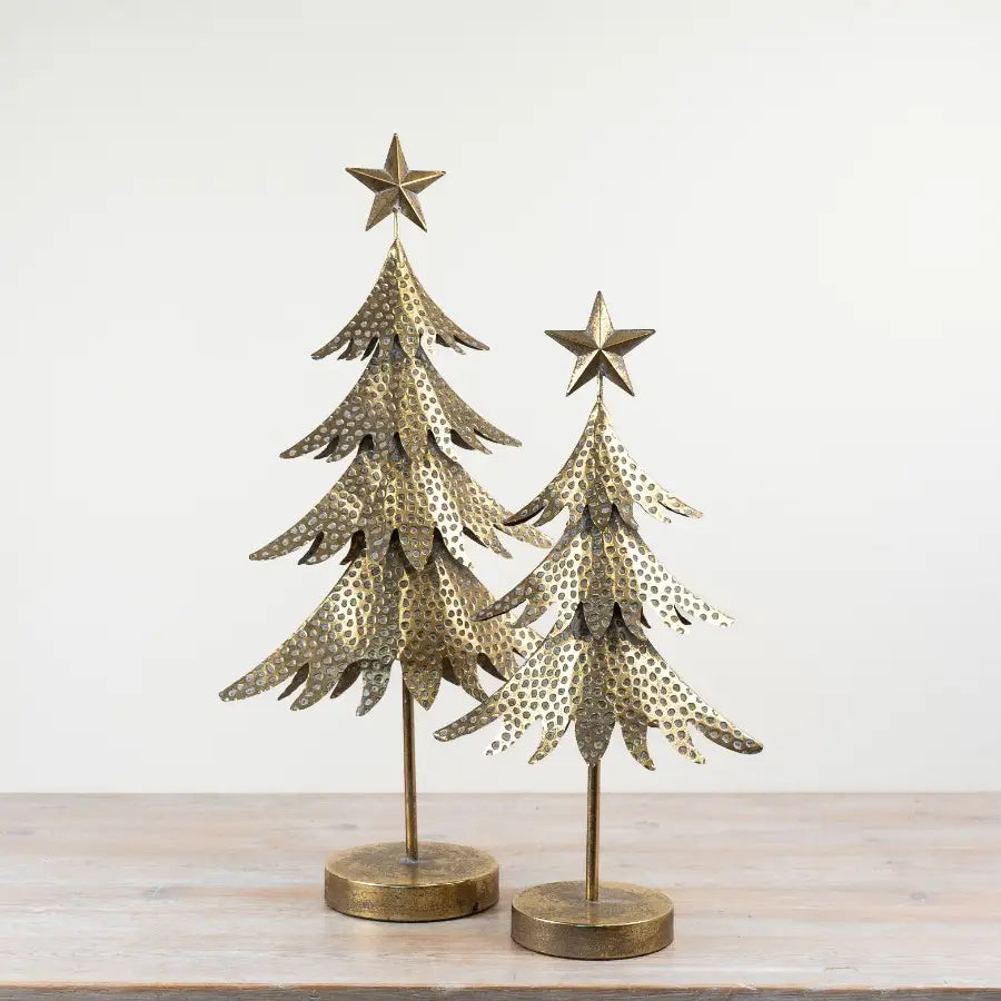 Gold Iron Tree, 53cm