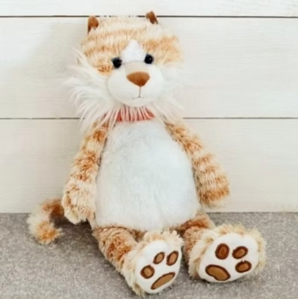 Ginge The Cat Soft Toy