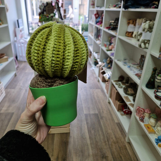 Crochet cactus HA06