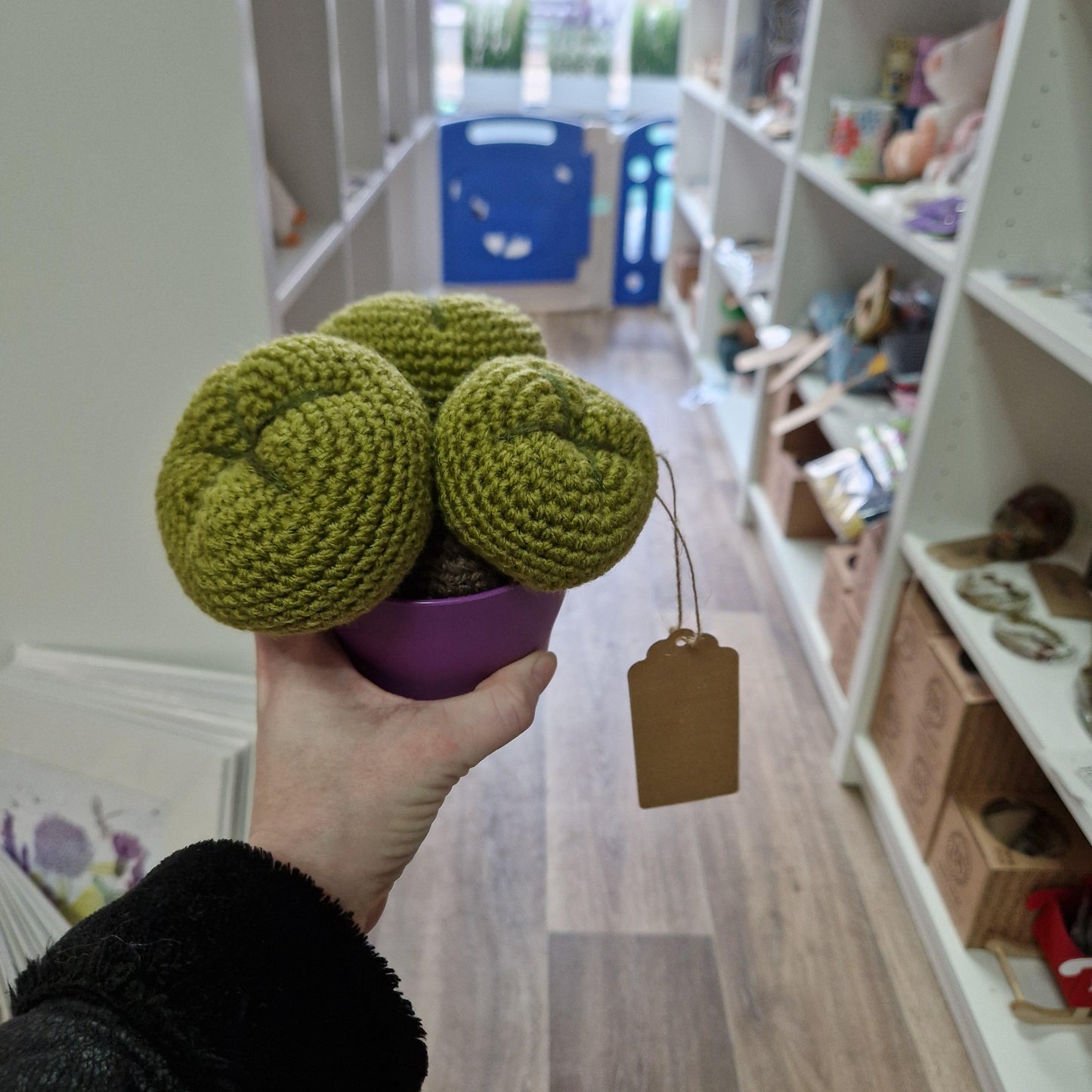 Crochet cactus HA09